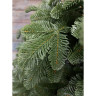 Ель благородная TRIUMPH TREE BB CL 100% литая, 215 см, зеленая 74307