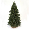 Ель TRIUMPH TREE, Шервуд премиум, 100% литая, 215 см, 288 ламп, зеленая 72180